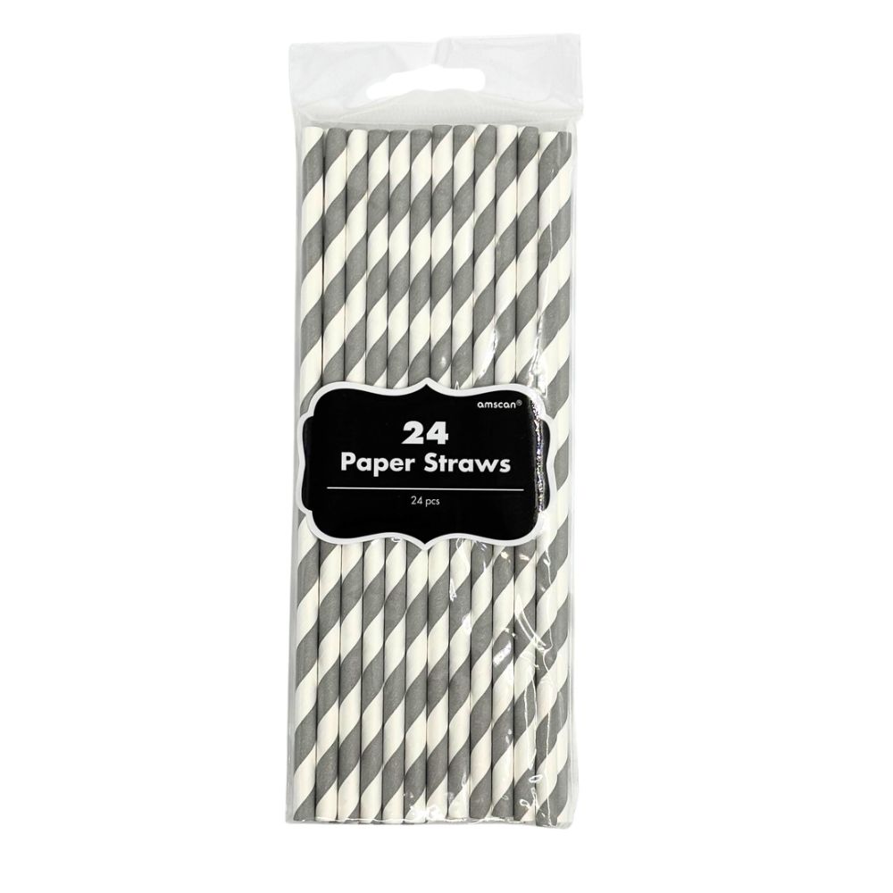 Paper Straws Silver Stripes 24pk