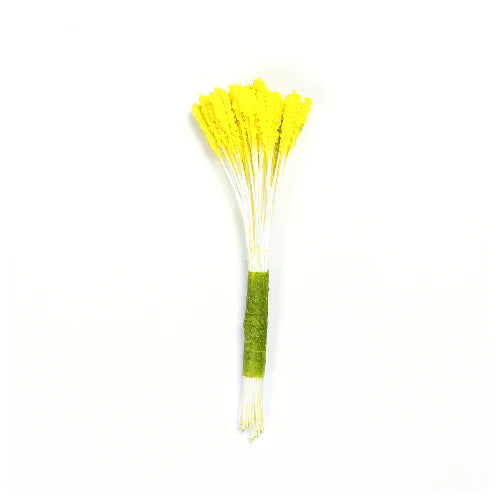 Stamens Lily - Yellow