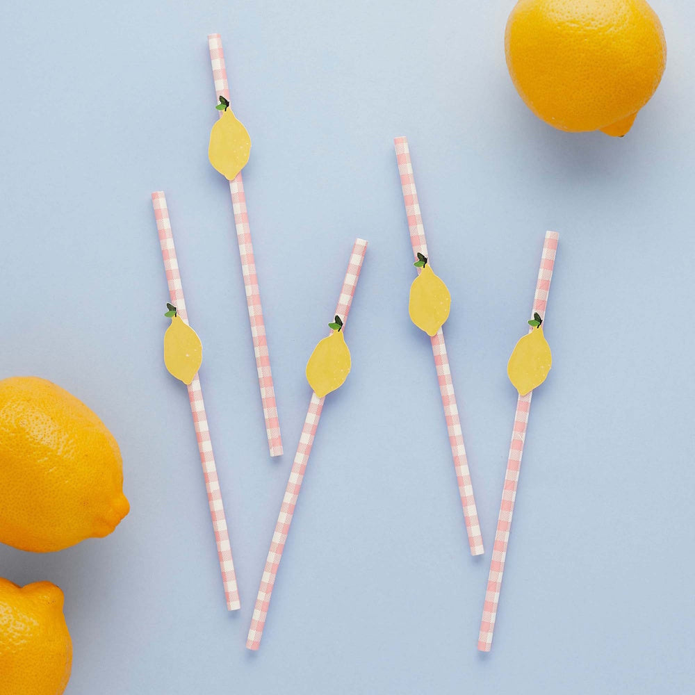 Summer Picnic Lemon & Gingham Paper Straws 20pk