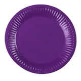 Value Large Party Plates 10pk - Purple