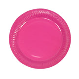 Value Small Party Plates 12pk - Hot Pink