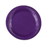 Value Small Party Plates 12pk - Purple