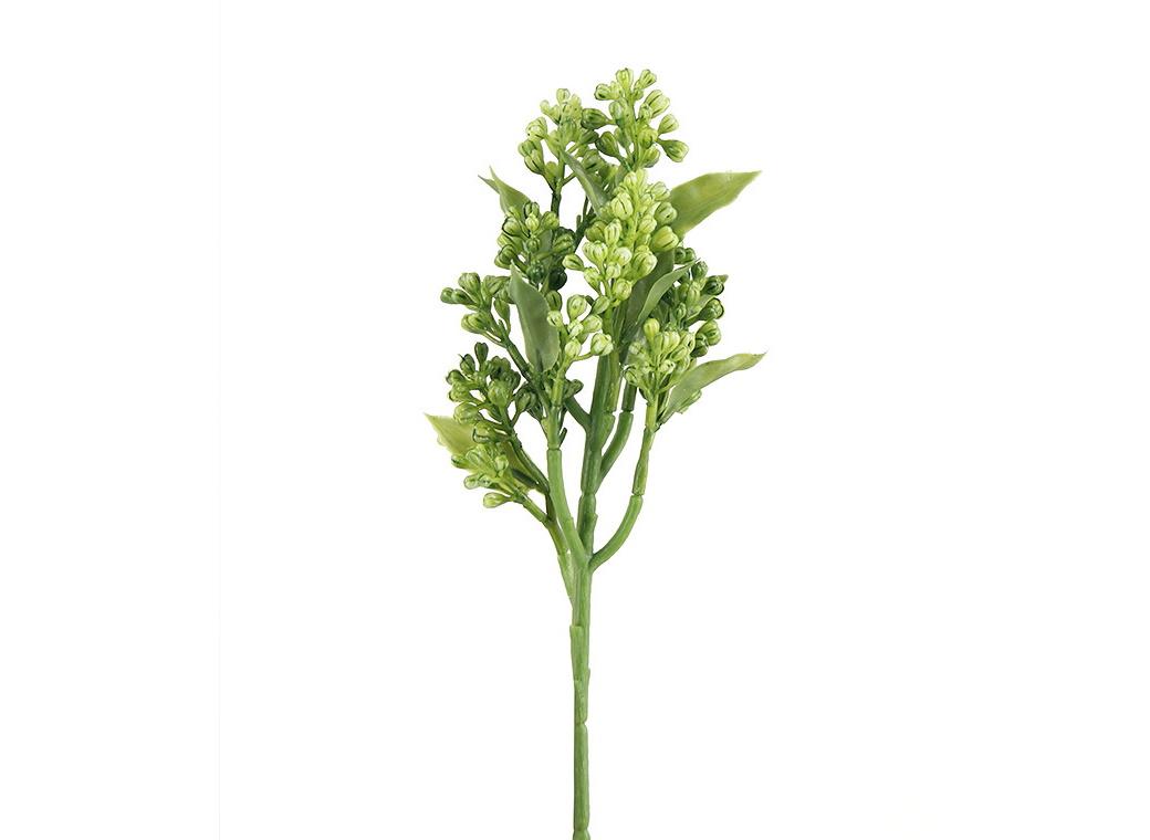 Berry Pick - Light Green