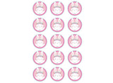 Edible Icing Cupcake Images - Birthday Bunny