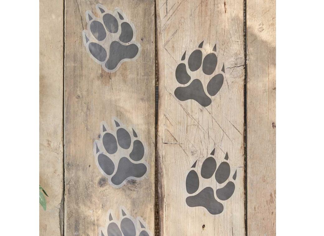 Go Wild Animal Paw Print Floor Stickers