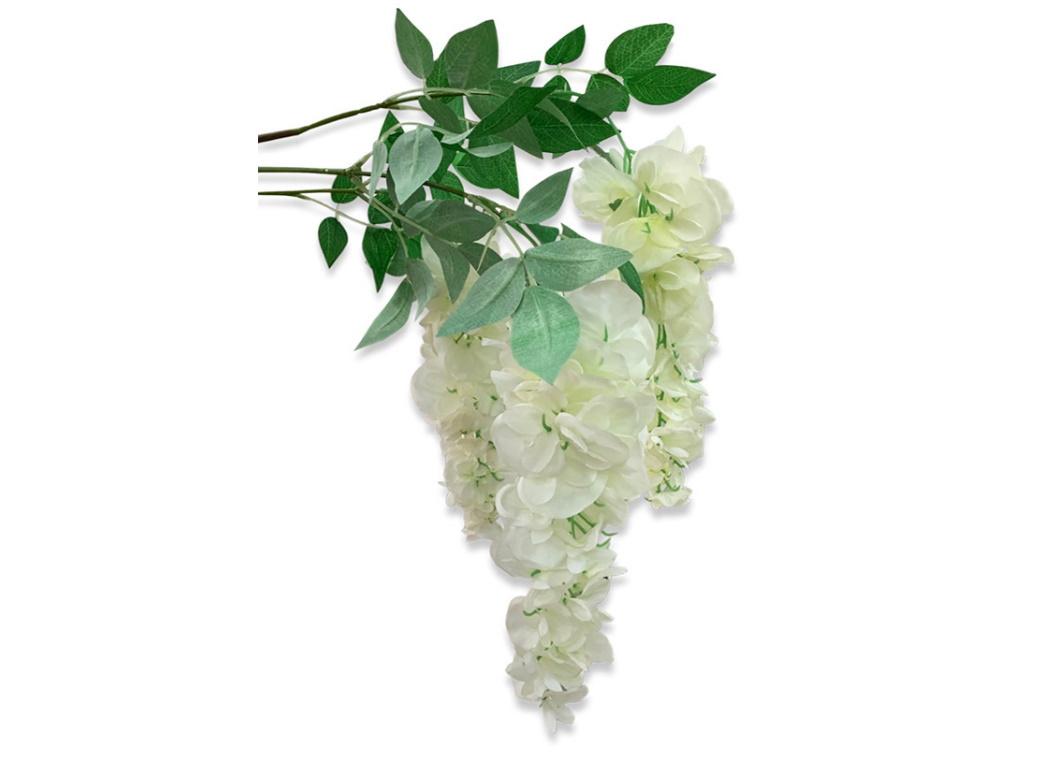 Hanging Wisteria