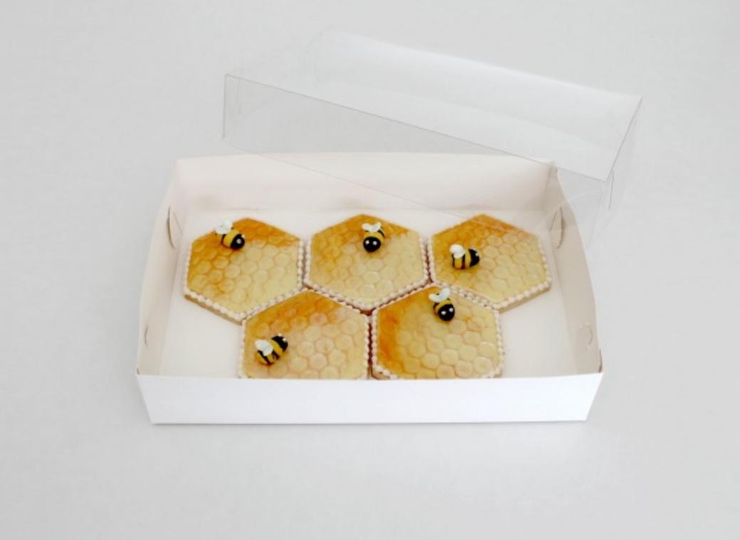 Clear Lid Biscuit Box 10 x 7in