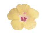 Tiki Tropics Flower Shaped Napkins 16pk