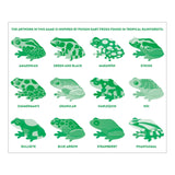 Tropical Frogs Shaped Memory Match